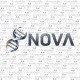 Nova Labs - SS-31 10mg | Vial